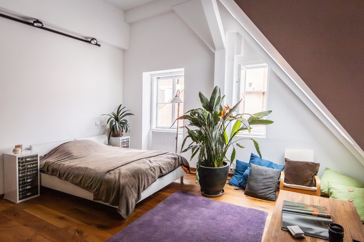 Licht, Loft, Lebensqualität